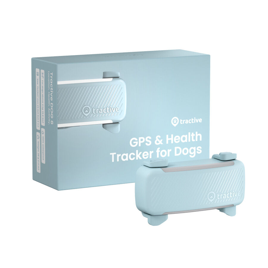 Tractive GPS Dog 6 Menta Rastreador para perros