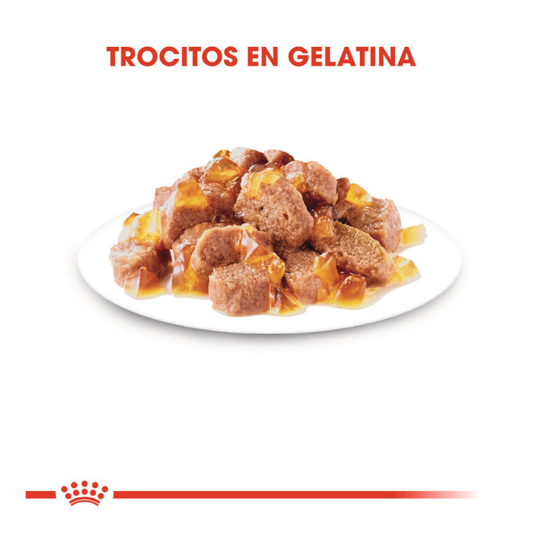 Royal Canin Sterilised gelatina sobres para gato thumbnail