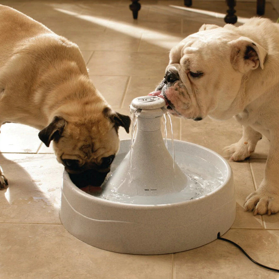 Petsafe Drinkwell Fuente Bebedero para perros y gatos, , large Imagen numero 3