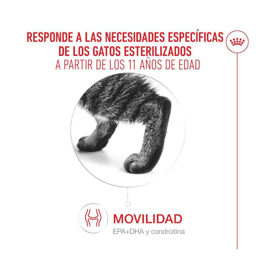 Royal Canin Ageing 11+ Sterilised pienso para gatos thumbnail