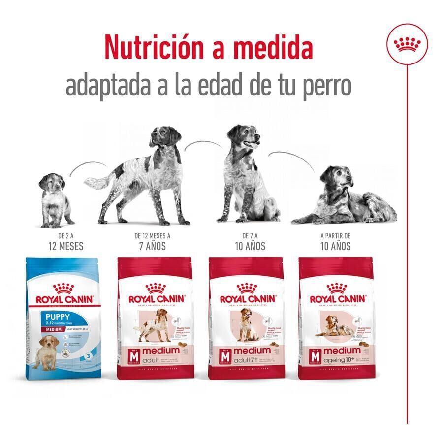 Royal Canin Medium 7+ Adult pienso para perros senior thumbnail