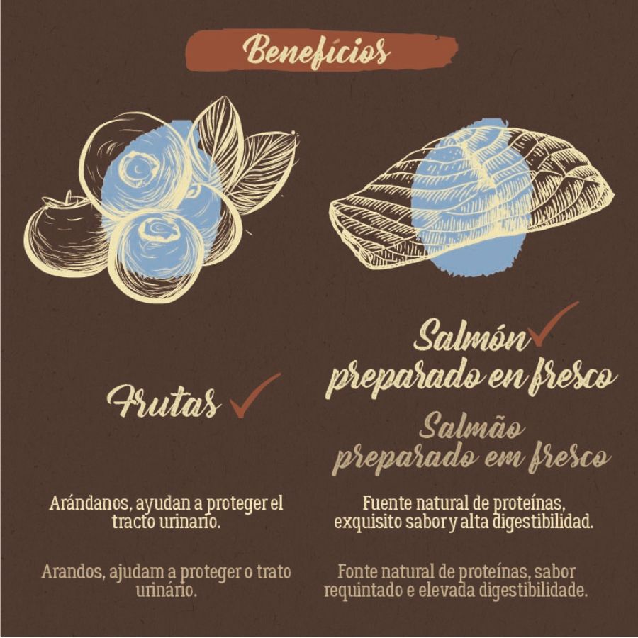 True Origins Pure Kitten No Grain Free Salmón pienso para gatitos thumbnail