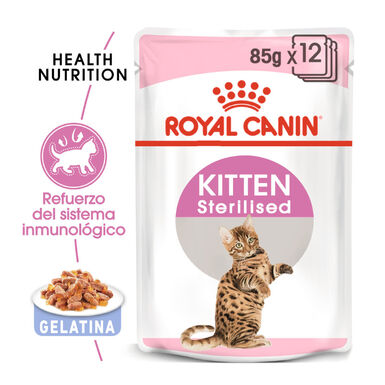 Royal Canin Kitten Sterilised gelatina para gatos