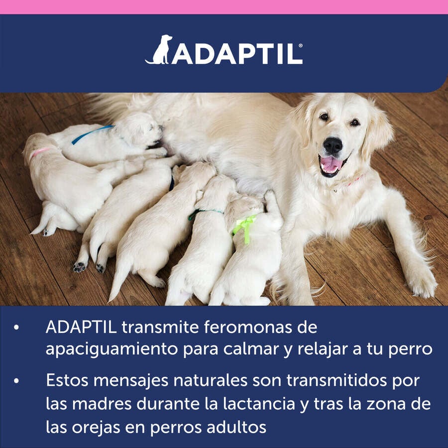Adaptil Junior Collar Anti-estr&eacute;s para perros, , large Imagen numero 11