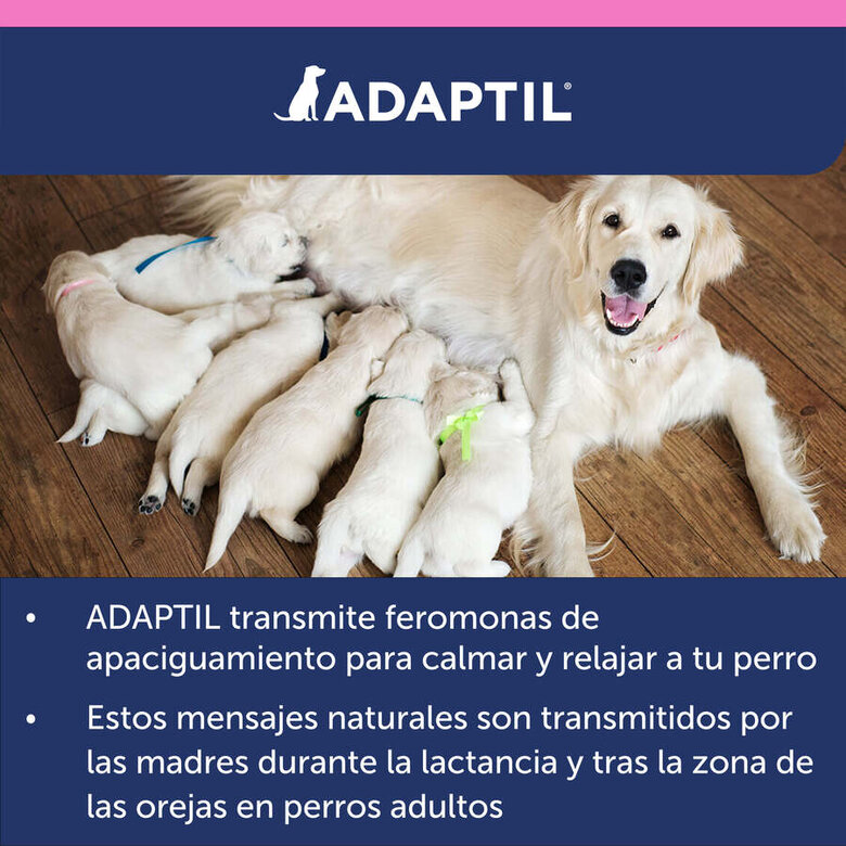 Adaptil Junior Collar Anti-estrés para perros, , large image number null