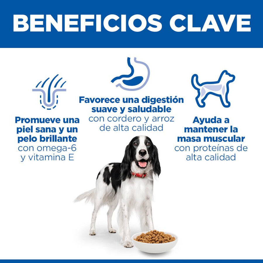 Hill&#039;s Science Plan Adult Medium pienso cordero y arroz para perros de razas medianas thumbnail