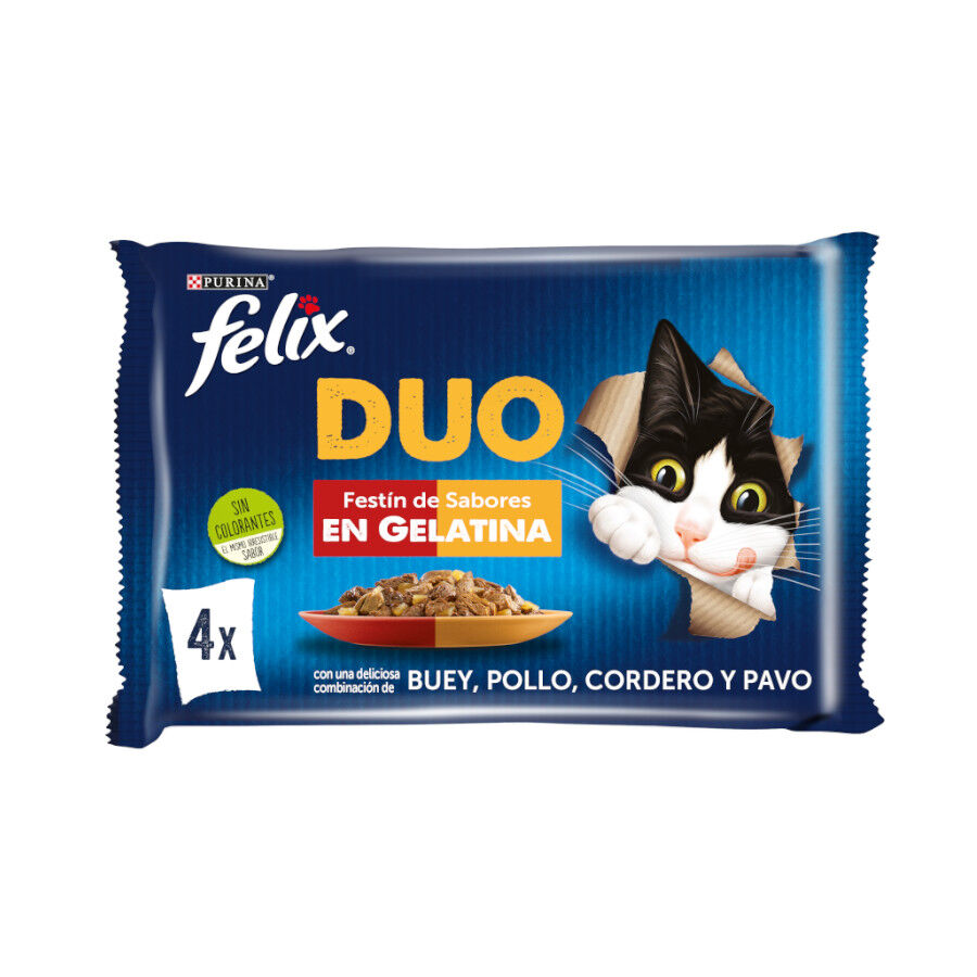 Felix Fantastic Duo Carne en Gelatina sobre para gatos thumbnail