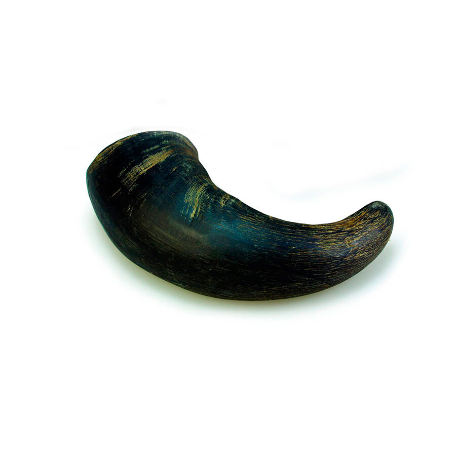 1 ud. True Origins Wild Cuerno de B&uacute;falo Natural para perros, , large Imagen numero 1