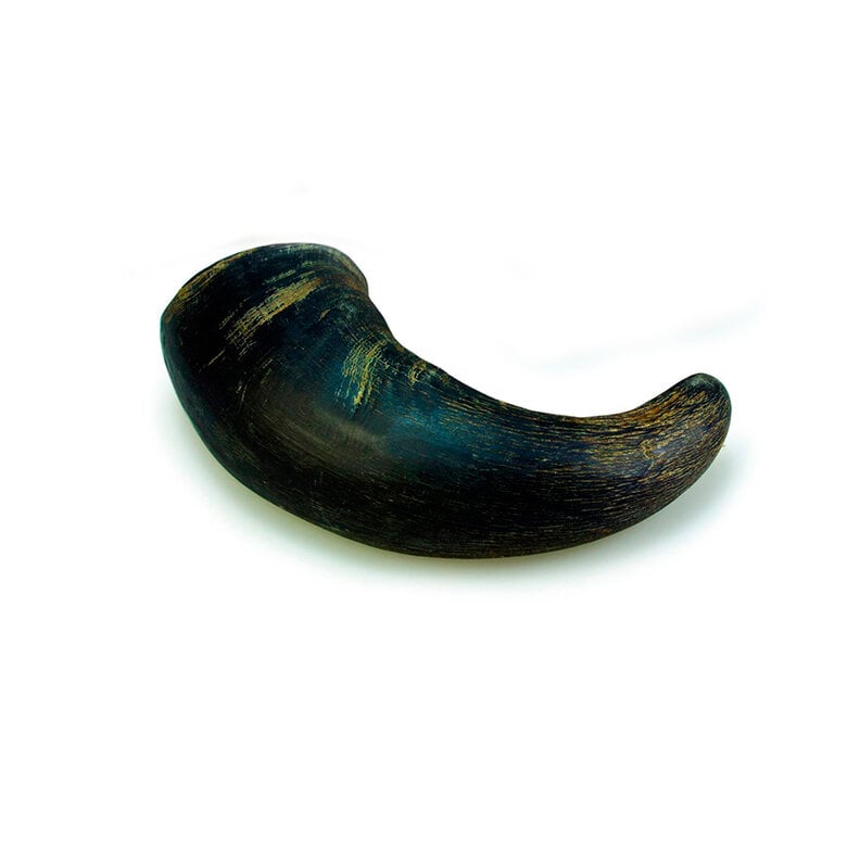 1 ud. True Origins Wild Cuerno de Búfalo Natural para perros,  Imagen numero 1 1 ud. True Origins Wild Cuerno de Búfalo Natural para perros, , large Imagen numero 1