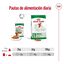 85 g Royal Canin Mini Adult sobre en salsa para perros, , large indicador imagen numero 7