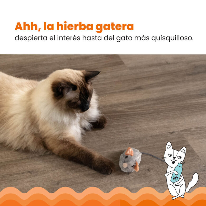 Catstages Squeaky Squeaky Gris Ratón de Juguete con Catnip para gatos thumbnail