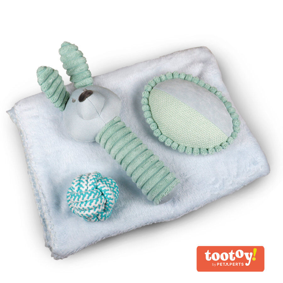 Tootoy! Comfort Pack de Bienvenida para cachorros
