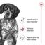 18 kg (15 + 3 kg ¡gratis!) Royal Canin Medium Adult pienso para perros, , large indicador imagen numero 5