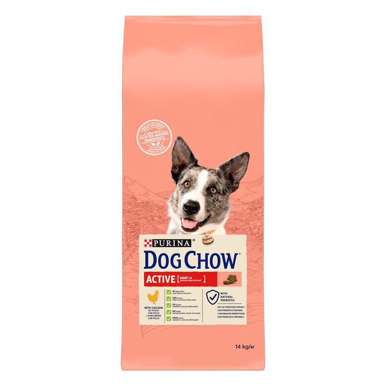Dog Chow Active Pollo pienso para perros thumbnail