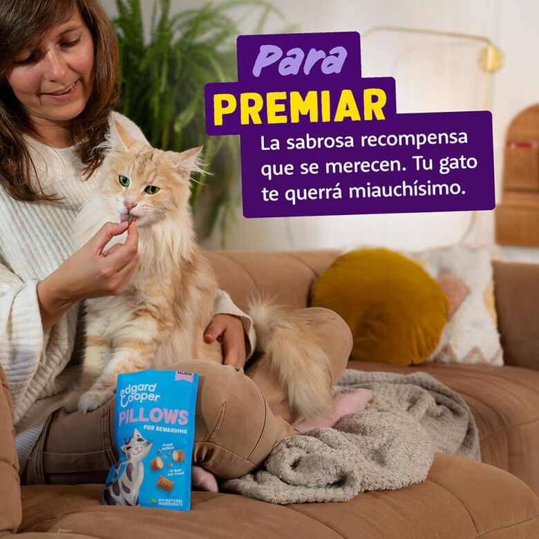 Edgard &amp; Cooper Bocaditos Pillows de salmon para gatos thumbnail