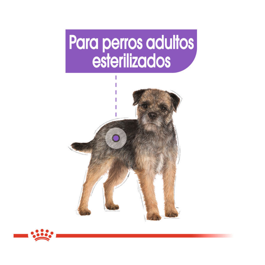 Royal Canin Sterilised Sobres Paté para perros thumbnail