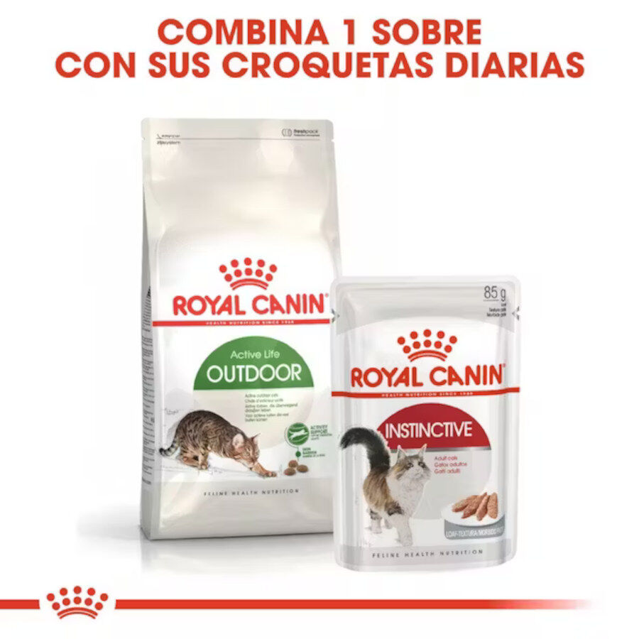 Royal Canin Active Life Outdoor pienso para gatos thumbnail