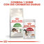 10 kg Royal Canin Active Life Outdoor pienso para gatos, , large indicador imagen numero 7