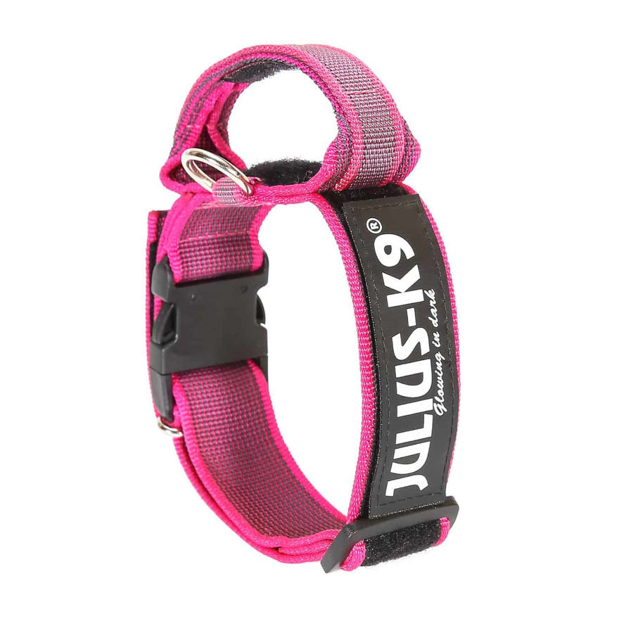 Julius-K9 Collar con Asa de Agarre para perros, , large Imagen numero 1