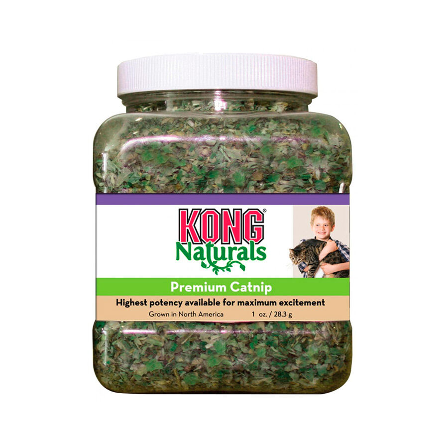 Kong kiwoko on sale