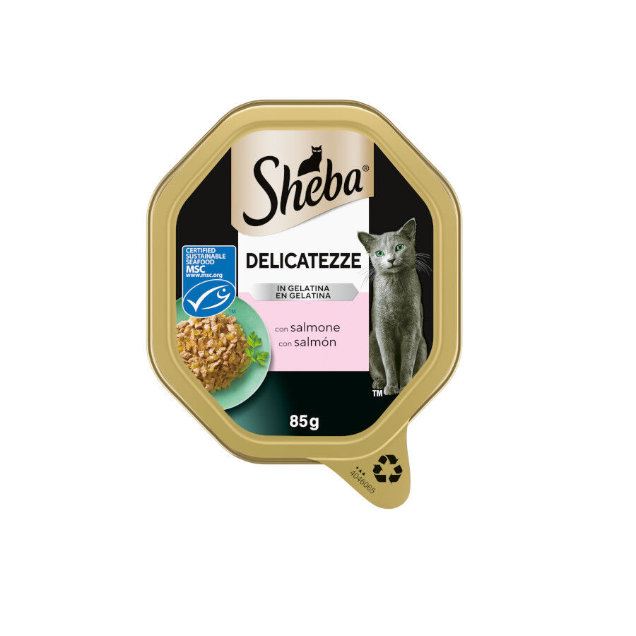 85 g Sheba Delicatezze Tarrina Gelatina Salm&oacute;n para gatos, , large Imagen numero 1