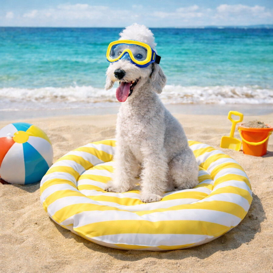 Summer Vibes Cama Redonda Refrescante Amarilla para perros, , large Imagen numero 1