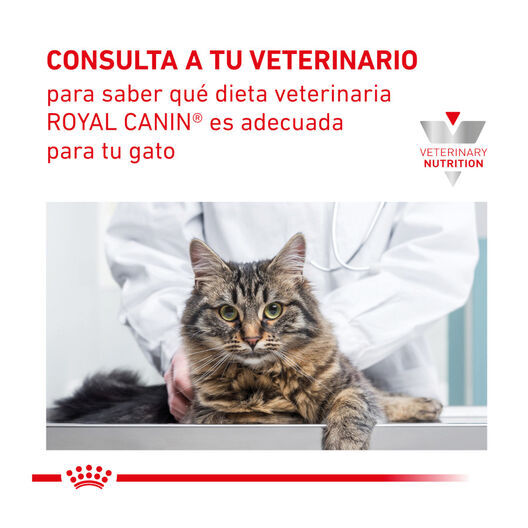 Royal Canin Veterinary Gastrointestinal Moderate Calorie sobre para gatos thumbnail