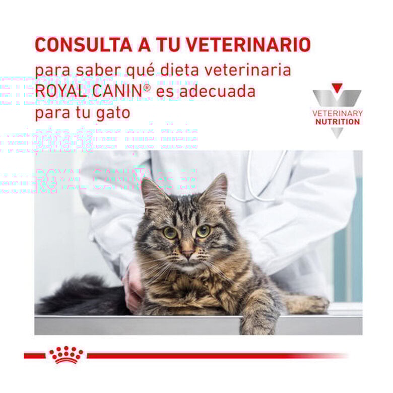 12 sobres x 85 g Royal Canin Veterinary Gastrointestinal Moderate Calorie sobre para gatos,  Imagen numero 7 12 sobres x 85 g Royal Canin Veterinary Gastrointestinal Moderate Calorie sobre para gatos, , large Imagen numero 7