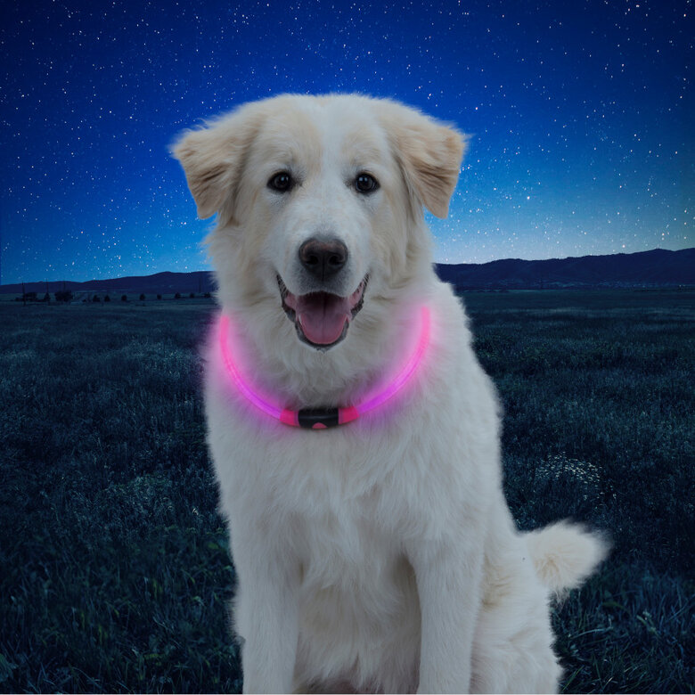 Nite Ize NiteHowl Collar de Seguridad LED Rosa para perros,  Imagen numero 2 Nite Ize NiteHowl Collar de Seguridad LED Rosa para perros, , large Imagen numero 2