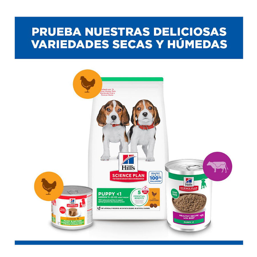 370 g Hill's Science Plan Puppy Ternera en Pat&eacute; lata para perros, , large Imagen numero 9