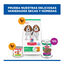 370 g Hill's Science Plan Puppy Ternera en Pat&eacute; lata para perros, , large indicador imagen numero 9