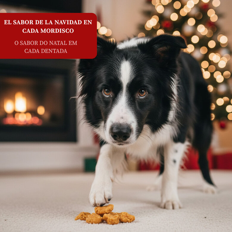 80 g Wonder Christmas Nuggets de Pollo Navideños para perros,  Imagen numero 4 80 g Wonder Christmas Nuggets de Pollo Navideños para perros, , large Imagen numero 4
