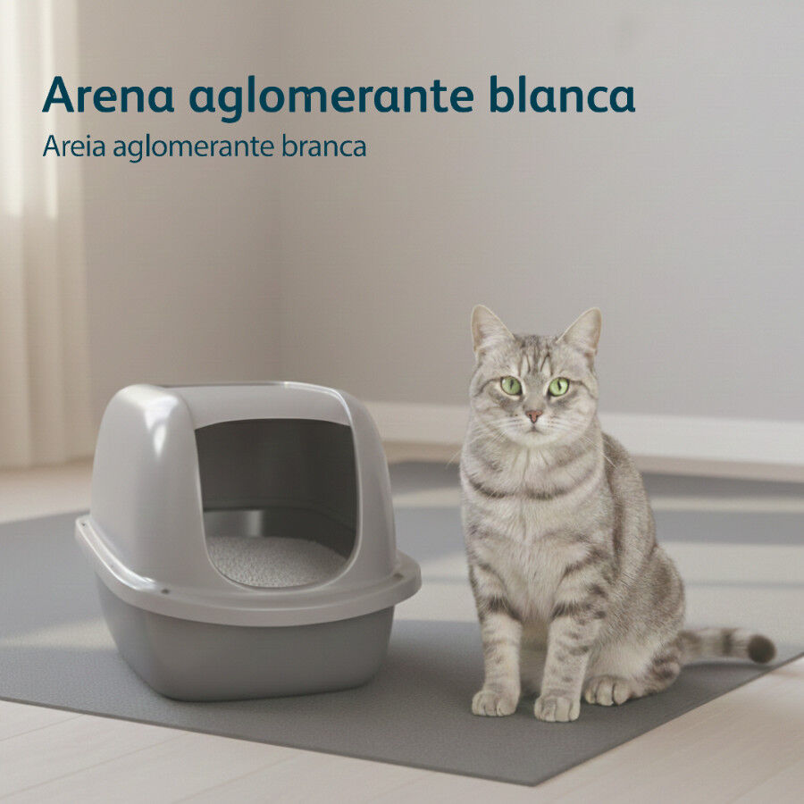 10 L Nova Clean Ultra Lecho Aglomerante Lavanda para gatos, , large Imagen numero 5