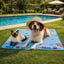 Summer Vibes Manta Refrescante Dolce Vita para perros y gatos, , large indicador imagen numero 1