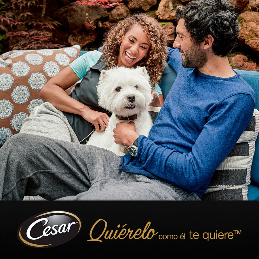 pienso_humedo_perros_cesar_pouche_senior_03_CES306102.jpg Imagen numero 6
