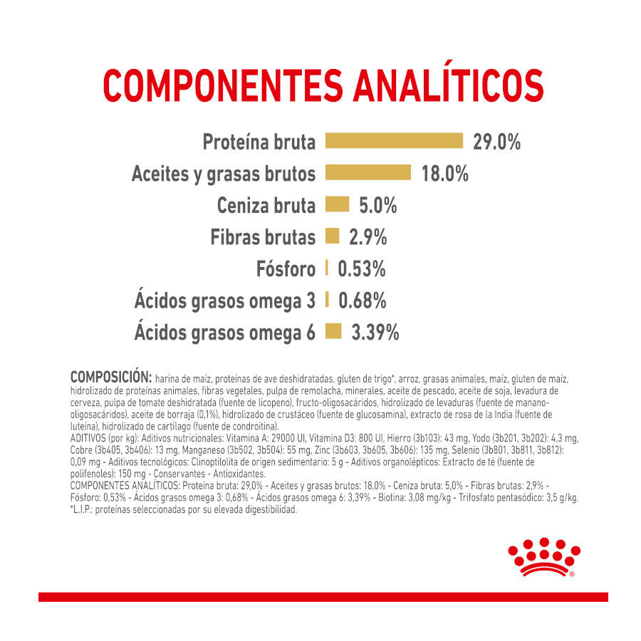 Royal Canin Adult 8+ Yorkshire pienso para perros thumbnail