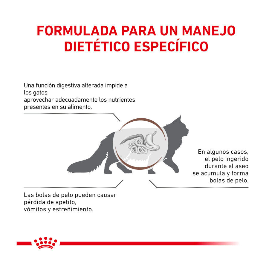 2 kg Royal Canin Veterinary Gastrointestinal Hairball pienso para gatos, , large Imagen numero 6