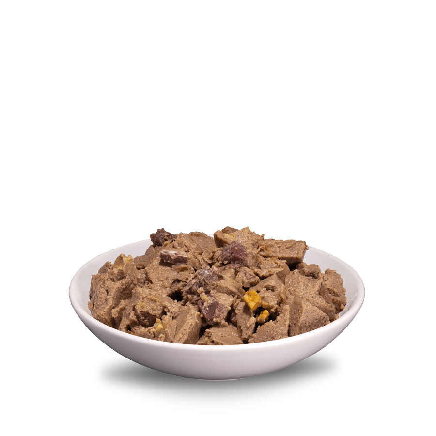 ERA Sybarite Adulto Pavo, Cordero y Batata en paté lata para perros thumbnail