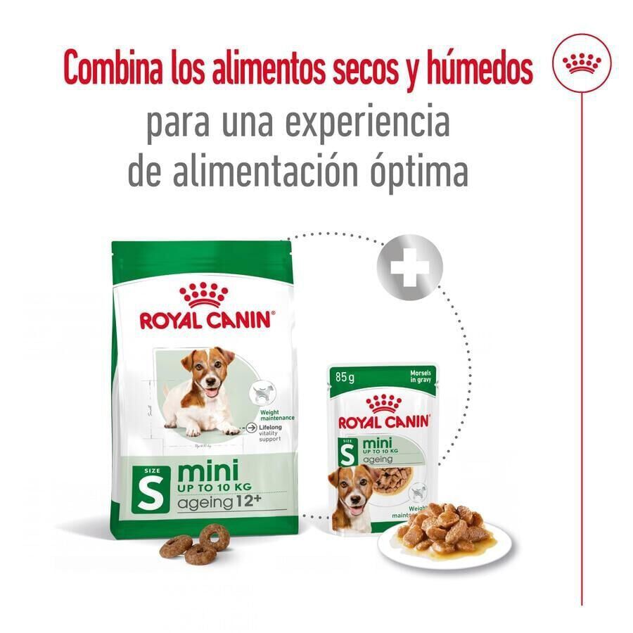 Royal Canin Mini Ageing +12 pienso para perros thumbnail