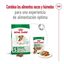 3.5 kg Royal Canin Mini 12+ Ageing pienso para perros, , large indicador imagen numero 2