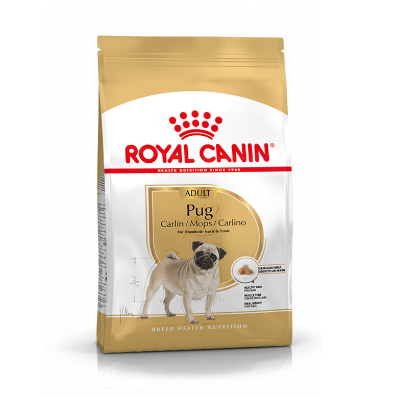 Royal Canin Adult Carlino pienso para perros, , large image number null