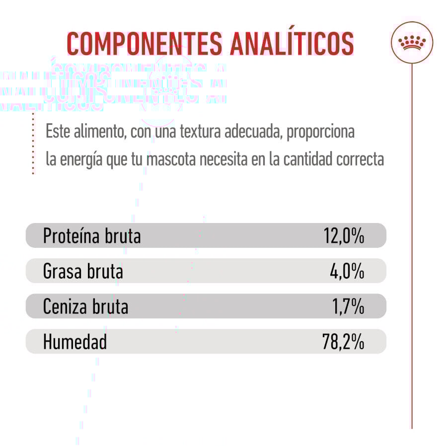 Royal Canin Kitten sobre en salsa para gatos thumbnail