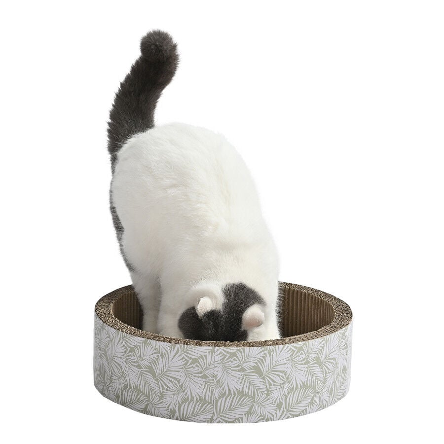 Leeby Domingo cama rascador de cartón con estampado para gatos thumbnail