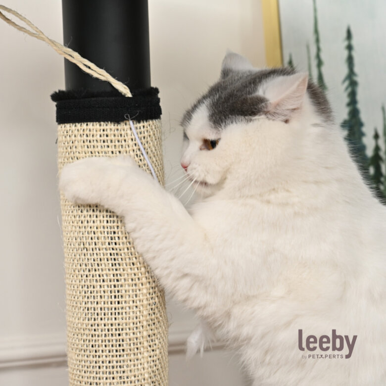 Leeby Tito rascador para pata de mesa con juguete para gatos,  Imagen numero 2 Leeby Tito rascador para pata de mesa con juguete para gatos, , large Imagen numero 2