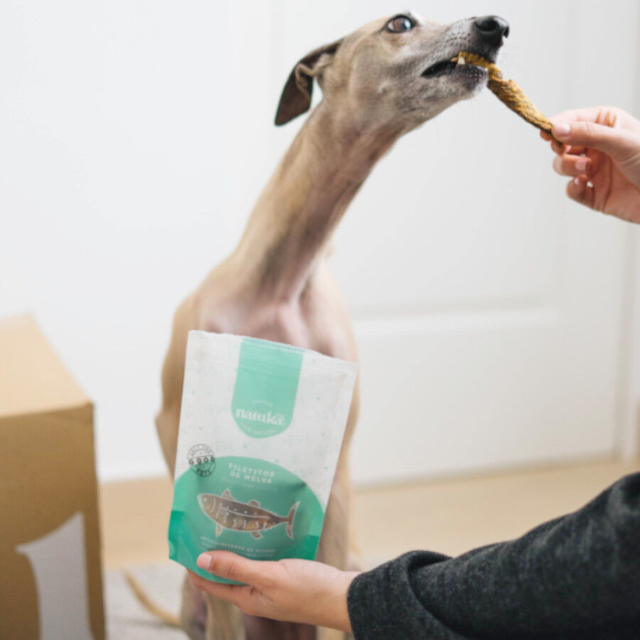 50 g Natuka Filetitos de Melva Snack Natural para perros y gatos, , large Imagen numero 4