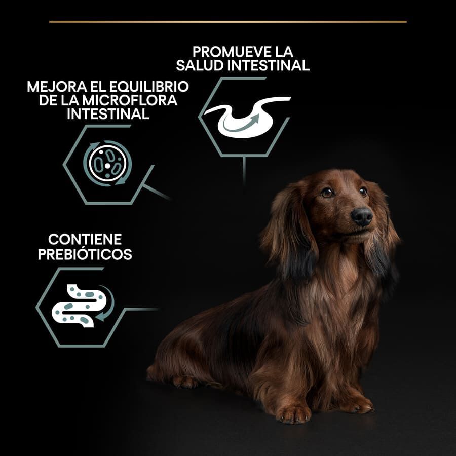 3 kg Pro Plan Adult Small y Mini Digesti&oacute;n Cordero pienso para perros, , large Imagen numero 3