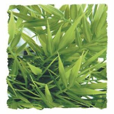 Zoo Med Planta Artificial Bambú para terrarios