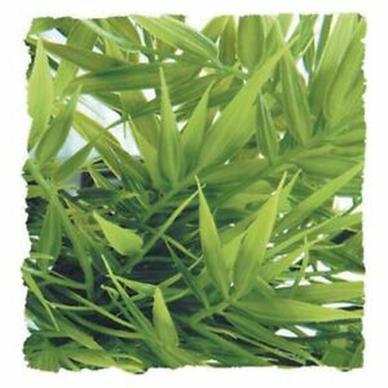 Zoo Med Planta Artificial Bambú para terrarios,  Imagen numero 1 Zoo Med bambú artificial plantas para terrarios Imagen numero 1