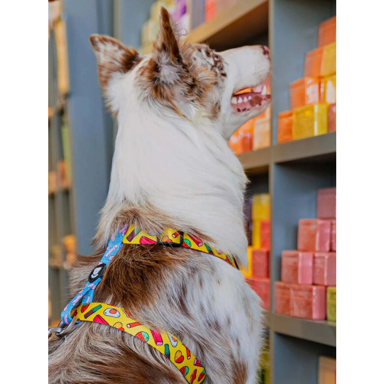 Dukier Sweets Arnés Clásico para perros thumbnail