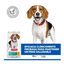 12 kg Hill's Science Plan Perfect Weight Adult Medium Pollo pienso para perros, , large indicador imagen numero 8